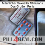 Männlicher Sexueller Stimulans Des Großen Penis 36